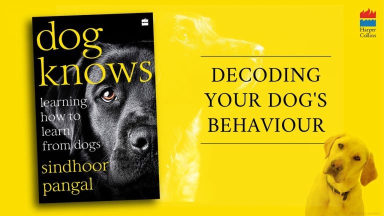 Dog Knows by Sindhoor Pangal — Decoding your dog's behaviour (HarperCollins India)