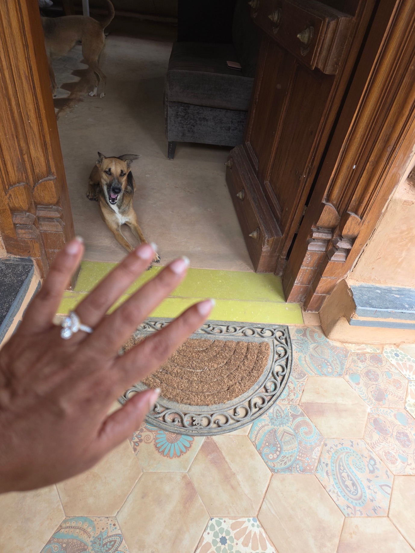The open palm gesture being offered to a dog in a doorway: the hand is raised obliquely, fingers relaxed and spread, at the threshold rather than over the dog, while the dog lies settled a short distance away.