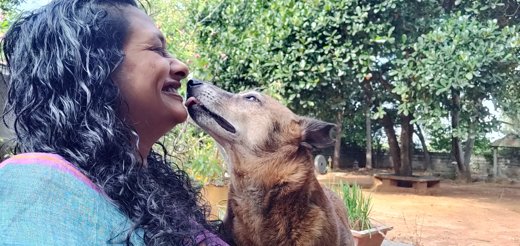 Sindhoor Pangal with a free-living dog